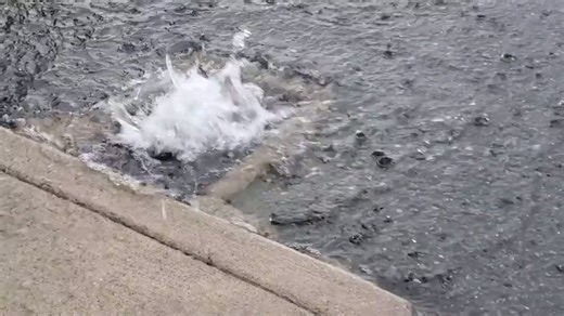 Why so many countries use bidets but the US does not