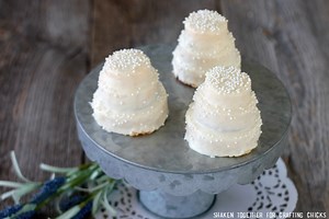 Mini No Bake WMini No Bake Wedding Cakesedding Cakes