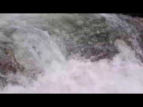 Fresh Mountain Creek Ambience 🌿 Relaxing River Sounds for Sleep, Study & Meditation