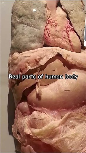 "Bio lessons part 1 "