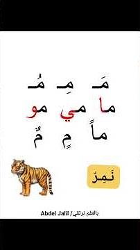 Letters with Diacritics #education #art #explore #explore #arabic