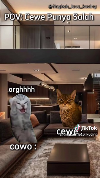 Kumpulan Meme Kucing Lucu yang Menghibur