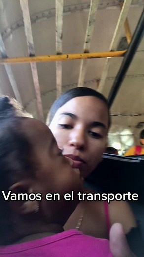 Traveling by Bus: An Inside Look at Public Transport