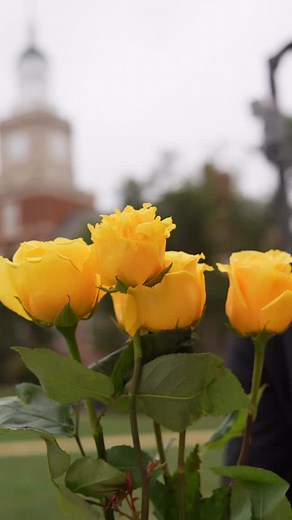 The BETA Chapter of Alpha Phi Alpha Fraternity, Incorporated on Instagram: "Today, the Brothers of Alpha Phi Alpha Fraternity, Inc., Beta Chapter, carried on our valued tradition of “Tie Tuesday.” Beyond the ties and sharp attire, this day holds deeper meaning as we honor the women who uplift and inspire us by presenting them with our fraternity’s flower, the yellow rose. We are grateful for the love, strength, and encouragement they continue to pour into our lives. #ThisIsBeta #ManlyDeeds"