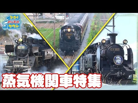【のりもの図鑑】蒸気機関車 SL特集（かわね路号、パレオエクスプレス、大樹）