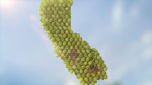 There is a little bit of California in every grape. So go with grapes from California every day. Explore the extraordinary California table grape landscape at https://bit.ly/2YvMgTm. | Grapes From California