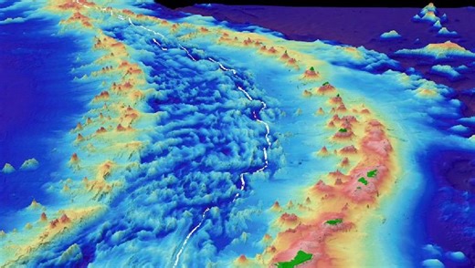 In Earth's Deepest Ocean Trench, Over 7,000 New Species Have Been Discovered