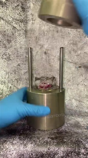 Creating Beautiful Ice Roses with Lamberta Ice Mold