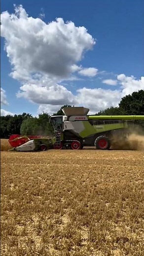 Who else can smell it? 😍🌾