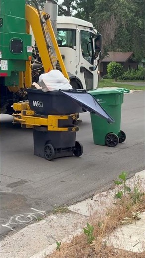 Roaring python on full bin