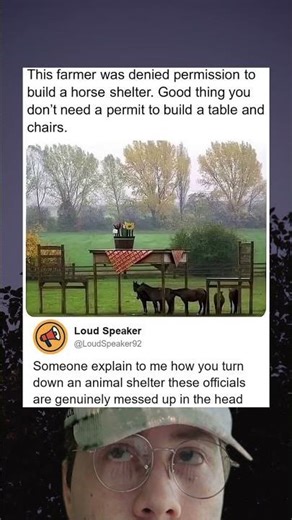 Farmer Denied Horse Shelter Builds Table Instead