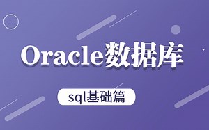 最简单的Oracle数据库开发视频教程，让你从小白到大神！