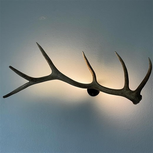Elk Antler LED Wall Light – Authentic 6 Point Shed, Rustic Decor – Usb/battery Powered - Etsy
