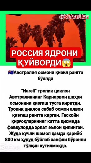 Канал ривожи учун обуна булинг ⚠️‼️#shorts #tiktok #reels #obuna_bolishni_unutmang