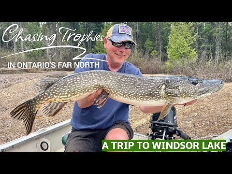 Chasing Trophies In Ontario's Far North - A Trip To Windsor Lake