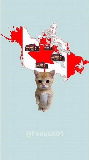 How Many Tim Hortons Are in Canada? 🇨🇦 #canada #timhortons #money