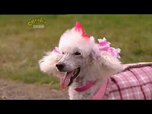 Big Barn Farm - Pampered Pooch (2010)