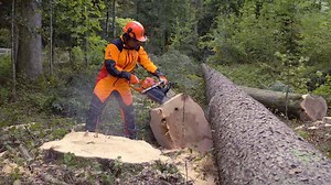 Ta en titt bakom kulisserna när medlemmar ur H-team i Storbritannien, Finland och Litauen sätter Husqvarna 572XP® på prov i Schweiz! Vill du ta en titt? Hör av dig till din närmaste återförsäljare för exakt leveransdag: http://bit.ly/2BMfdQ3 | Husqvarna