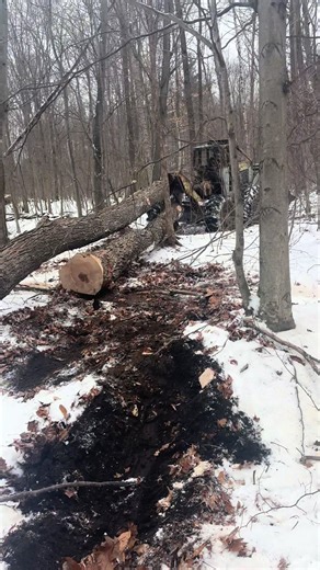 Logging Adventures with Scott and the Timberjack