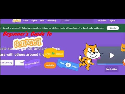 The Beginner's Guide To Scratch