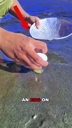 “Hidden Sea Creatures Under Sand! Fisherman’s Smart Beach Trick”