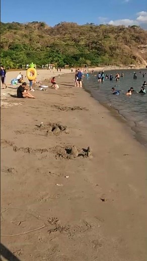 bro does not know what a seaweed is