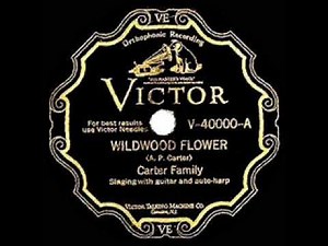 1928 HITS ARCHIVE: Wildwood Flower - Carter Family