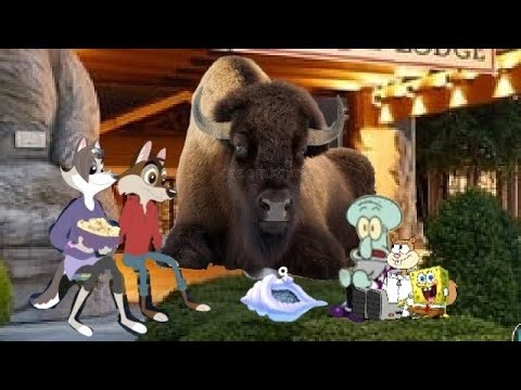 All Hail The Magic Conch! At Great Wolf Lodge!🐺🐚