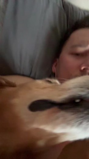 Pretty girls stomp like this | stomp