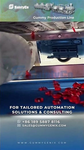 Flexible Gummy Production Line (SaintyCo G300): Multi-SKU Jellies & Gummies Ready