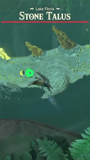 First time breath of the wild player tries with Farosh