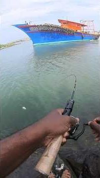 first casting ൽ തന്നെ 2 മീൻ അടിച്ചു 🎣💥 #trevally #fishing #ultralight #shore #gaming #strike #vibes
