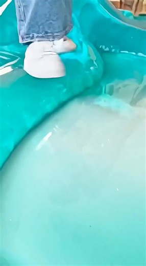 Enjoyment in Washington: Fun Facts Made Easy