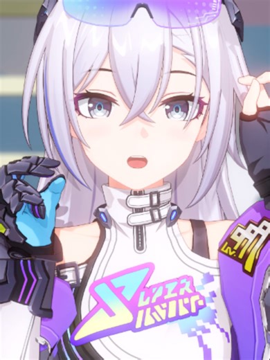 Silver Wolf LV.999 頑張りたい人へ