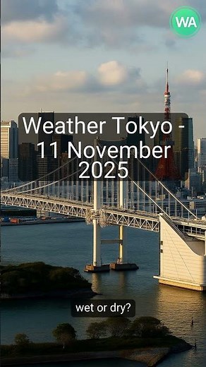 Tokyo 2025: Today’s weather (Cloudy, 14°C)