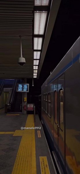 Exploring the Depths of Manele Music Traditions