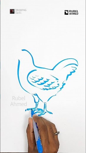 Easy way to draw chicken | chicken drawing | How to Draw Chicken