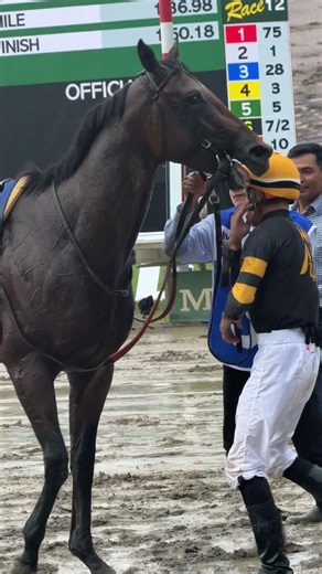 The Haskell win is theirs.