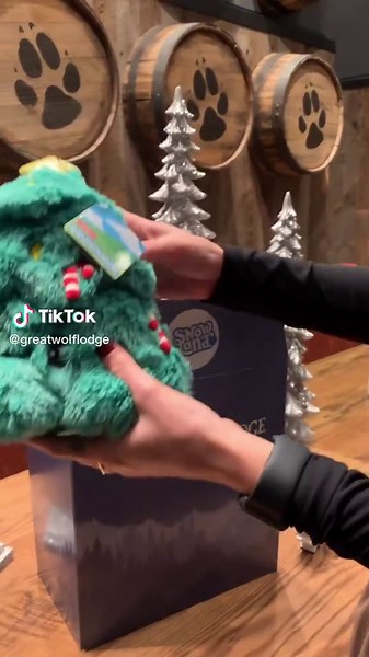 Exploring the Winter Fun at Great Wolf Lodge Snowland