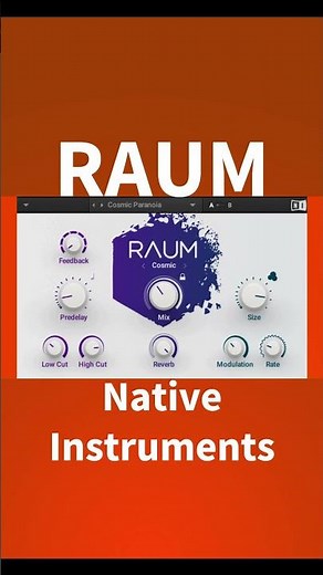 【FREE VST!?😲】Best free reverb vst plugin 2024?😲$49→$0!🔥RAUM native instruments【All Presets】