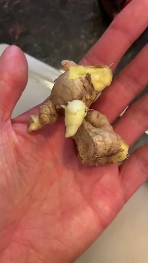 TROUT HEAD SOUP! Catch & Cook Recipe (Stocked Trout Catch Clean Cook)