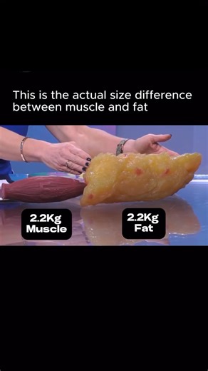 6.7K views · 19 reactions | Fat vs. Muscle: What’s the Difference?...