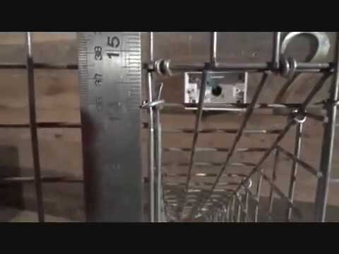 Indian Myna TRAP. Australia Close Up How To Build & Birds working the trap