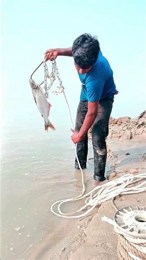 Amazing Fishing Catch | Big Fish Fishing with Simple Technique 😱🎣