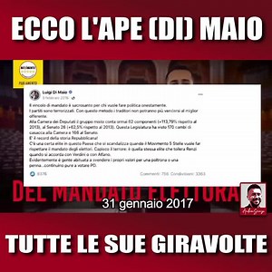 Vola vola vola l’ape (Di) Maio. | Andrea Scanzi