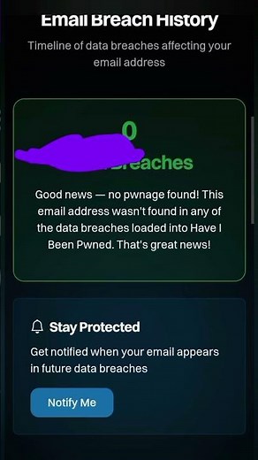 Has Your Email Been Hacked? Check for Data Breaches FREE. #emailsecurity #privacy #haveibeenpwned