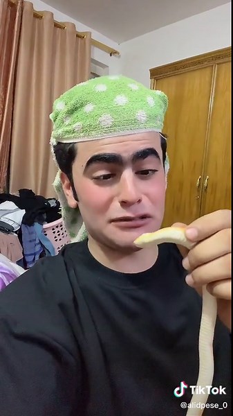 Gentle Snake Handling Tips for Beginners