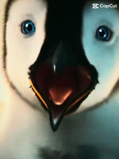 🐧#edit happy feet mumble edit🐧