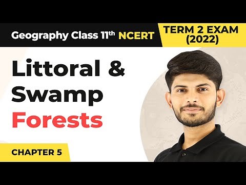 Class 11 Geography Chapter 5 | Littoral and Swamp Forests - Natural Vegetation