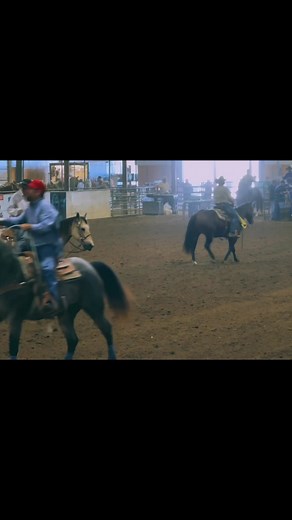 4.8K views · 58 reactions | All Star Team Roping on Reels | Facebook